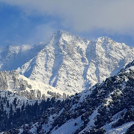 Hotel Bliss Valley Dharamshala - Beautiful View Of Mountains From Rooms 외부 사진