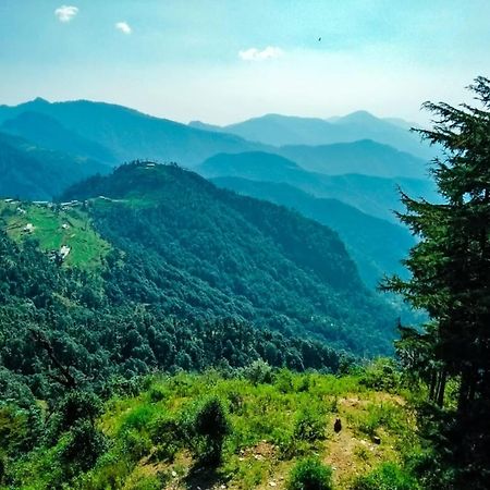 Hotel Bliss Valley Dharamshala - Beautiful View Of Mountains From Rooms 외부 사진