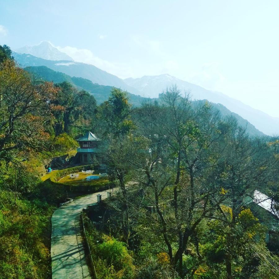 Hotel Bliss Valley Dharamshala - Beautiful View Of Mountains From Rooms 외부 사진