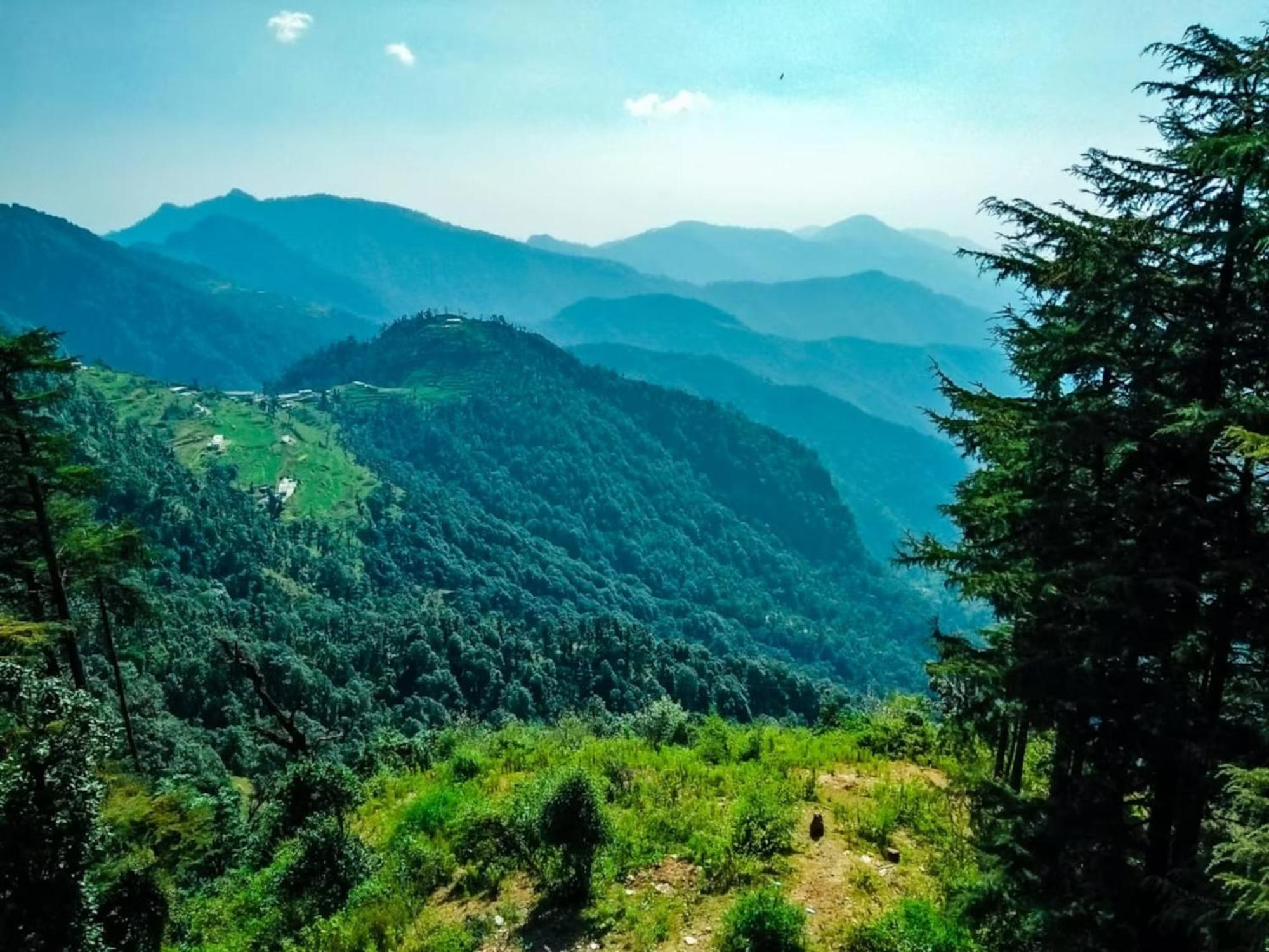 Hotel Bliss Valley Dharamshala - Beautiful View Of Mountains From Rooms 외부 사진